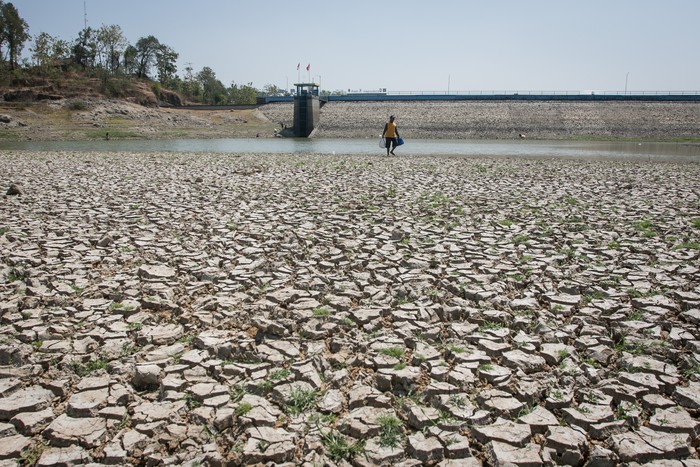 Warga mencari ikan di Waduk Tandon yang mengalami penyusutan debit air di Selogiri, Wonogiri, Jawa Tengah, Selasa (8/8/2023). Badan Meteorologi Klimatologi dan Geofisika (BMKG) memprediksi puncak kemarau kering tahun 2023 akan terjadi mulai bulan Agustus hingga September yang berdampak di sejumlah wilayah di Indonesia mengalami kekeringan ekstrem karena dampak dari fenomena El-Nino atau kemarau panjang. ANTARA FOTO/Mohammad Ayudha.