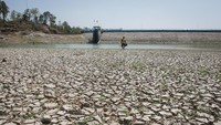 Warga mencari ikan di Waduk Tandon yang mengalami penyusutan debit air di Selogiri, Wonogiri, Jawa Tengah, Selasa (8/8/2023).