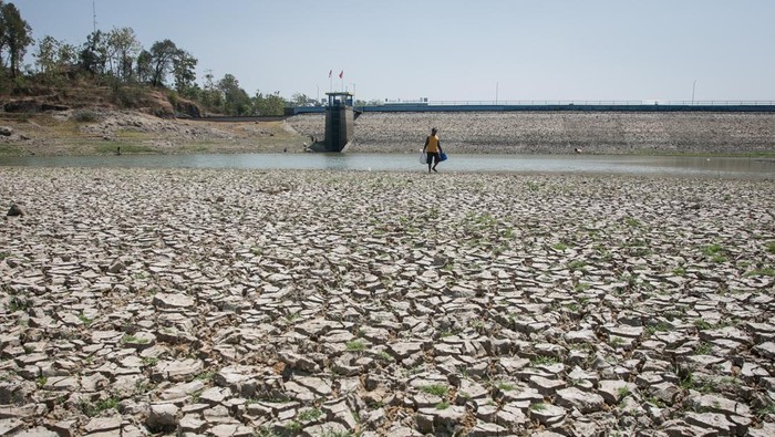 Warga mencari ikan di Waduk Tandon yang mengalami penyusutan debit air di Selogiri, Wonogiri, Jawa Tengah, Selasa (8/8/2023). Badan Meteorologi Klimatologi dan Geofisika (BMKG) memprediksi puncak kemarau kering tahun 2023 akan terjadi mulai bulan Agustus hingga September yang berdampak di sejumlah wilayah di Indonesia mengalami kekeringan ekstrem karena dampak dari fenomena El-Nino atau kemarau panjang. ANTARA FOTO/Mohammad Ayudha.