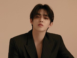 S.Coups SEVENTEEN Dapat Ucapan Ultah dari Aldi Taher, Bikin Fans Syok