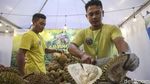 Serunya Pesta Durian di Pusat Perbelanjaan Jakarta, Bikin Ngiler
