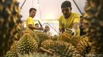Serunya Pesta Durian di Pusat Perbelanjaan Jakarta, Bikin Ngiler