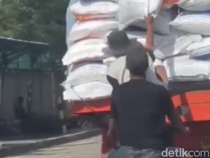 Viral Bajing Loncat Curi Beras Bulog di Dumai, Polisi Buru Pelaku