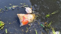 Sampah yang dibuang warga mengalir di Kali Cilemahabang. 