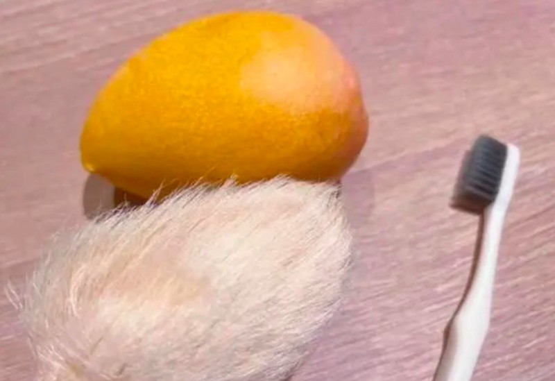 Memelihara kucing atau anjing tidak cukup memuaskan bagi anak-anak muda di China. Mereka punya ide untuk merawat biji mangga dan memperlakukannya seperti hewan peliharaan.