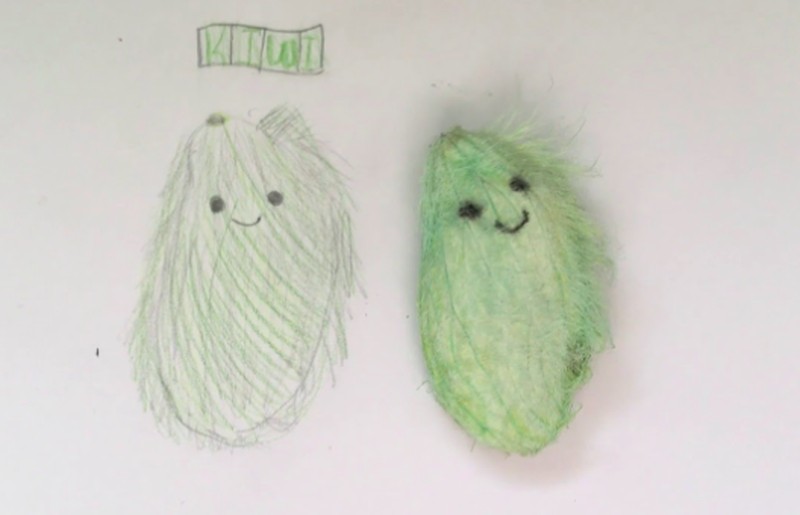 Anak-anak muda di China punya ide untuk merawat biji mangga dan memperlakukannya seperti kucing atau anjing peliharaan.