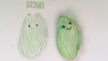 Para pemilik biji mangga mengatakan bahwa merawat biji mangga yang berbulu, memberi mereka kesenangan yang sama seperti memelihara anjing atau kucing, dan memberi mereka kenyamanan terapeutik. Foto: Xiaohongshu