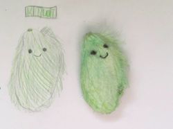 Bukan Kucing atau Anjing, di China Lagi Tren Pelihara Biji Mangga