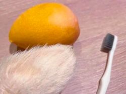 Bukan Kucing atau Anjing, di China Lagi Tren Pelihara Biji Mangga