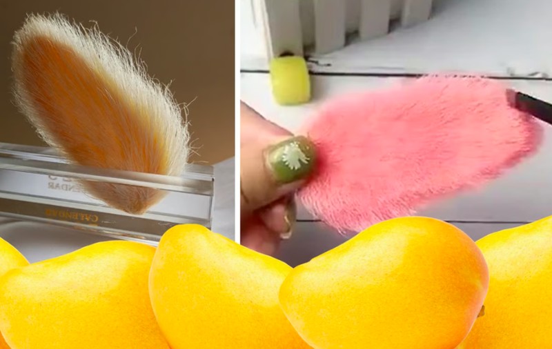 Memelihara kucing atau anjing tidak cukup memuaskan bagi anak-anak muda di China. Mereka punya ide untuk merawat biji mangga dan memperlakukannya seperti hewan peliharaan.