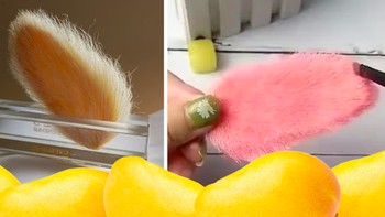 Biji mangga juga menjadi alternatif bagi mereka yang ingin punya hewan peliharaan, tapi tidak mau terlalu repot dan memakan banyak biaya. Foto: South China Morning Post