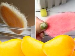 Bukan Kucing atau Anjing, di China Lagi Tren Pelihara Biji Mangga