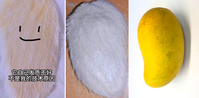 Anak-anak muda di China punya ide untuk merawat biji mangga dan memperlakukannya seperti kucing atau anjing peliharaan.