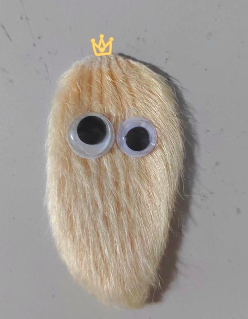 Anak-anak muda di China punya ide untuk merawat biji mangga dan memperlakukannya seperti kucing atau anjing peliharaan.