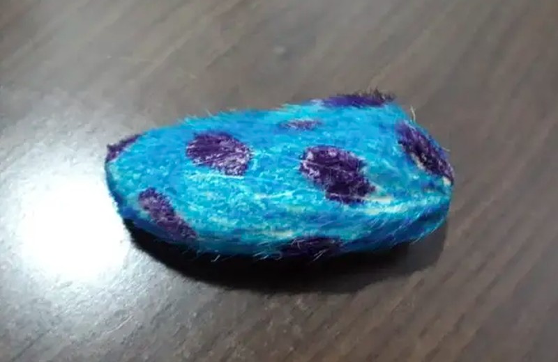 Anak-anak muda di China punya ide untuk merawat biji mangga dan memperlakukannya seperti kucing atau anjing peliharaan.