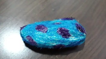 Selain itu, hewan peliharaan ini juga tak hanya perlu dicuci dan disikat, tetapi juga membutuhkan waktu rutin berjemur di bawah sinar Matahari untuk mencegah kemunculan jamur. Foto: Xiaohongshu