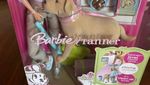 6 Boneka Barbie dan Ken yang Anti Mainstream