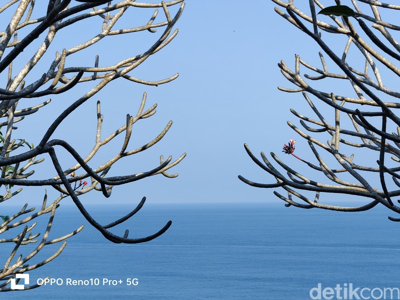 hasil jepretan kamera reno 10 5G