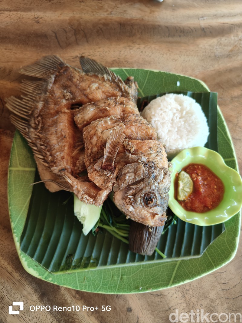 hasil jepretan kamera reno 10 5G