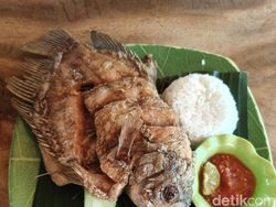 Hasil Jepretan Ciamik dari Kamera Oppo Reno 10 Pro Plus 5G