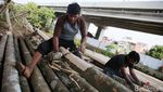 Penjualan Pohon Pinang di Kalimalang Mulai Menjamur