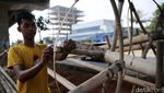 Penjualan Pohon Pinang di Kalimalang Mulai Menjamur Penjualan Pohon Pinang di Kalimalang Mulai Menjamur