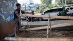 Penjualan Pohon Pinang di Kalimalang Mulai Menjamur Penjualan Pohon Pinang di Kalimalang Mulai Menjamur