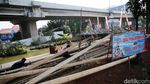 Penjualan Pohon Pinang di Kalimalang Mulai Menjamur