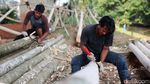 Penjualan Pohon Pinang di Kalimalang Mulai Menjamur