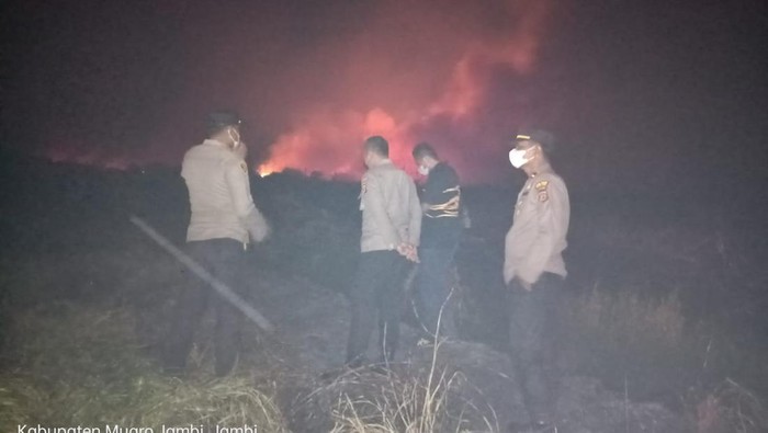 Kondisi lahan yang terbakar di Muaro Jambi