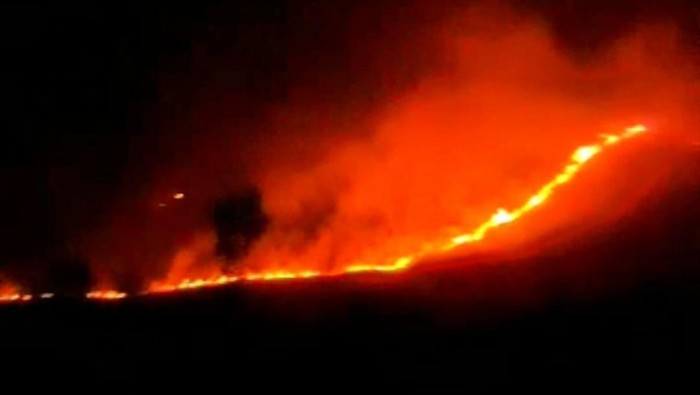 Lahan di kawasanhutan Ijen Bondowoso terbakar
