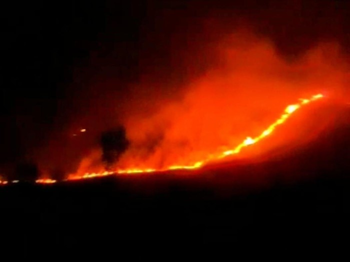 Lahan di kawasanhutan Ijen Bondowoso terbakar