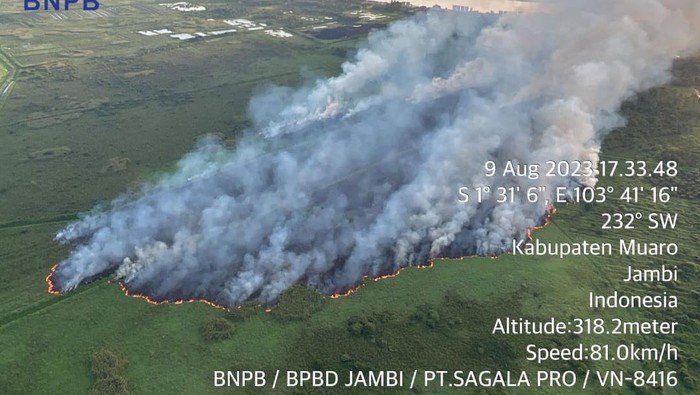 Penampakan Kebakaran Hebat Lahan di Muaro Jambi