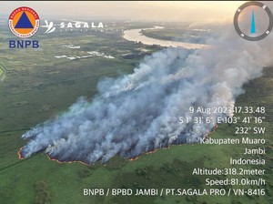 Polisi Cari Pemilik Lahan Terbakar di Muaro Jambi, 4 Saksi Diperiksa