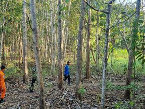 Akhir Pencarian Remaja Dlingo yang Menghilang Dikejar Ibu di Hutan Muntuk