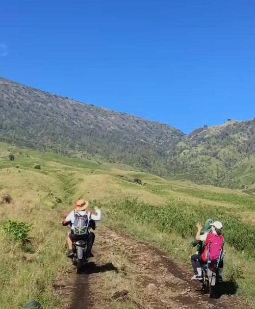Pendaki naik ojek di Gunung Rinjani di jalur Sembalun, Lombok Timur, NTB.
