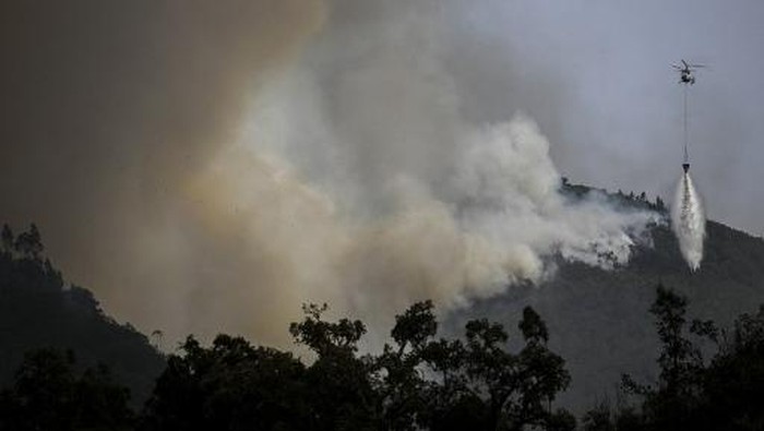 A helicopter fights a wildfire in Reguengo, Portalegre district, south of Portugal, on August 8, 2023. Hundreds of firefighters are fighting today against a wildfire that has been raging for four days southwestern Portugal which, like its neighbor Spain, is suffering an episode of intense heat wave that puts most of the Iberian Peninsula on alert. (Photo by Patricia DE MELO MOREIRA / AFP)
