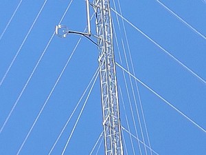 Panjat Tower Setinggi 65 Meter, Pria Kupang Mau Turun asal Bertemu Jokowi