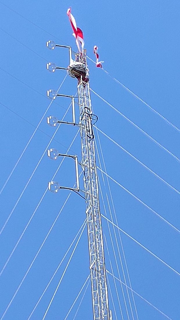 Pria berinisial AW nekat memanat tower antena setinggi 65 meter di Kecamatan Kelapa Lima, Kota Kupang, NTT, Rabu (9/8/2023). (Foto: Yufengki Bria/detikBali)