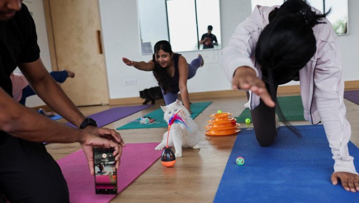 Participants perform yoga as the kittens play around them at a yoga session, which was organised by Pawhour, at a studio in New Delhi, India, August 6, 2023. REUTERS/Anushree Fadnavis