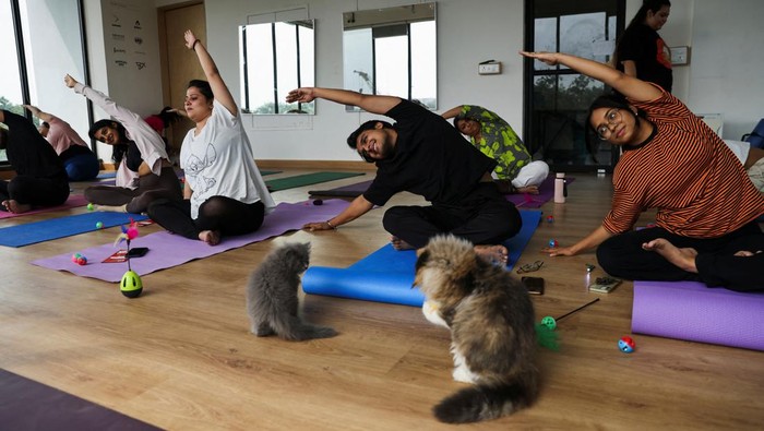 Participants perform yoga as the kittens play around them at a yoga session, which was organised by Pawhour, at a studio in New Delhi, India, August 6, 2023. REUTERS/Anushree Fadnavis