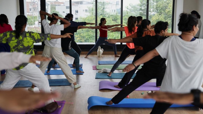 Participants perform yoga as the kittens play around them at a yoga session, which was organised by Pawhour, at a studio in New Delhi, India, August 6, 2023. REUTERS/Anushree Fadnavis