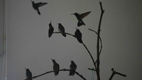Diketahui ada puluhan burung kolibri yang bebas terbang di dalam apartemennya. Mereka tinggal di sana sampai cukup kuat untuk terbang dan makan sendiri.  