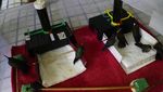 Wanita Meksiko Ubah Apartemennya Jadi Klinik Burung Kolibri