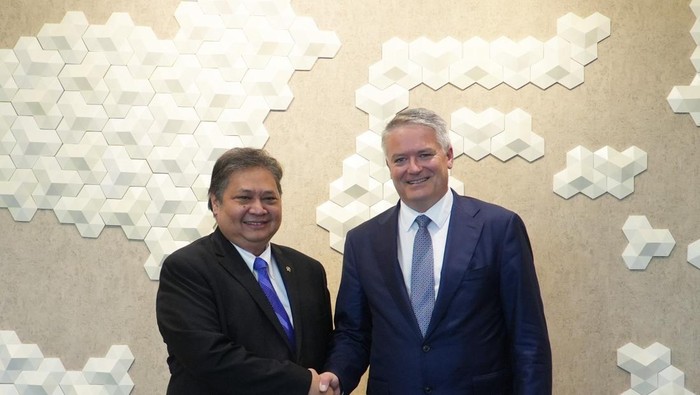 Airlangga Hartarto dan Mathias Cormann