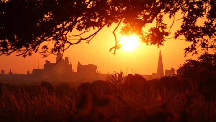 The sun rises behind skyscrapers in London, Britain, August 10, 2023. REUTERS/Toby Melville