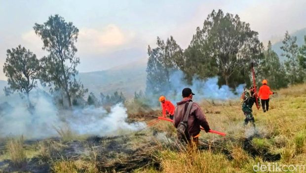 kebakaran hutan dan lahan kawasan Kawah Wurung Ijen