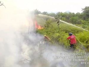 Kebakaran Lahan Terjadi Lagi di Jambi, Kali Ini di Tanjabbar