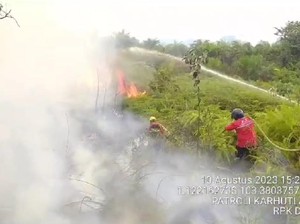 Kebakaran Lahan Terjadi Lagi di Jambi, Kali Ini di Tanjabbar
