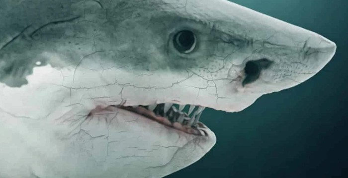 Megalodon